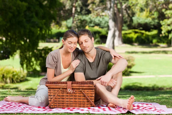 Paar picknickt im Park — Stockfoto