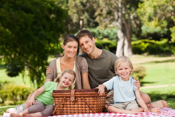 Радостный семейный пикник в парке — стоковое фото
