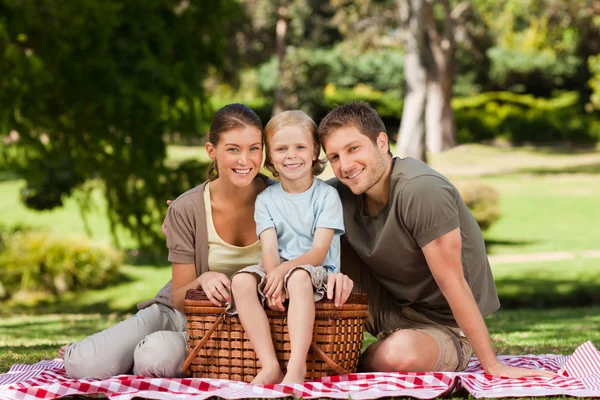 Alegre picnic familiar en el parque —  Fotos de Stock