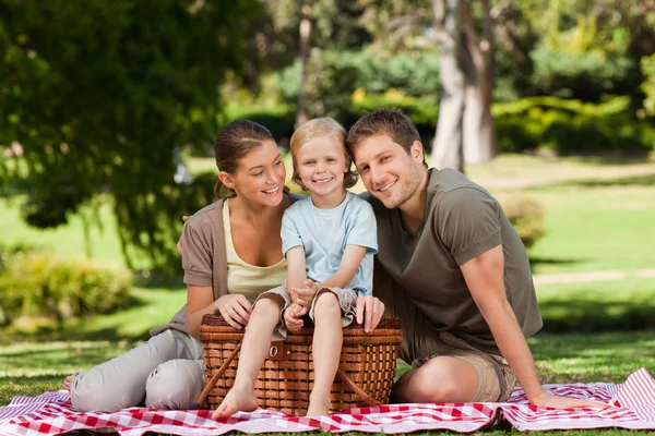 Parkta piknik yapmak eğlenceli aile — Stok fotoğraf