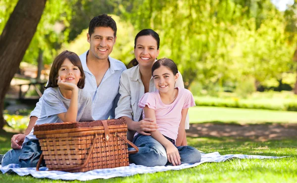 Rodinný piknik v parku — Stock fotografie