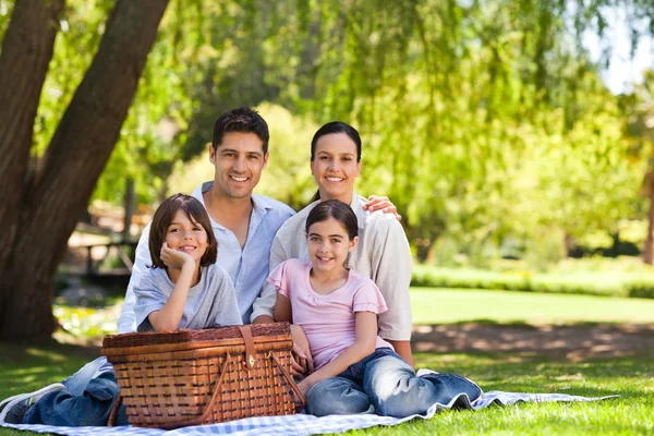Aile parkta piknik yapıyor. — Stok fotoğraf