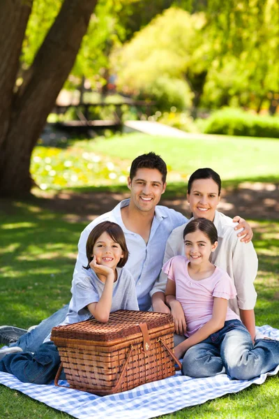 公園で家族のピクニック — ストック写真