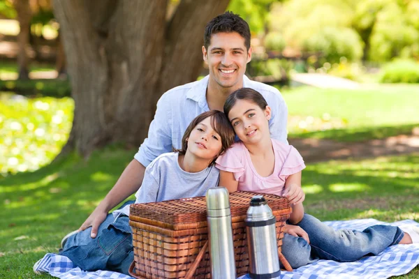Família fazendo piquenique no parque — Fotografia de Stock