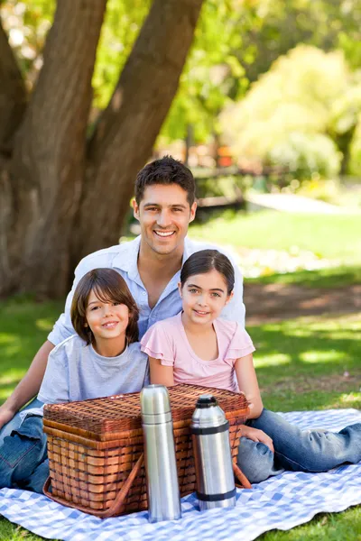 Szczęśliwy rodzinny piknik w parku — Zdjęcie stockowe
