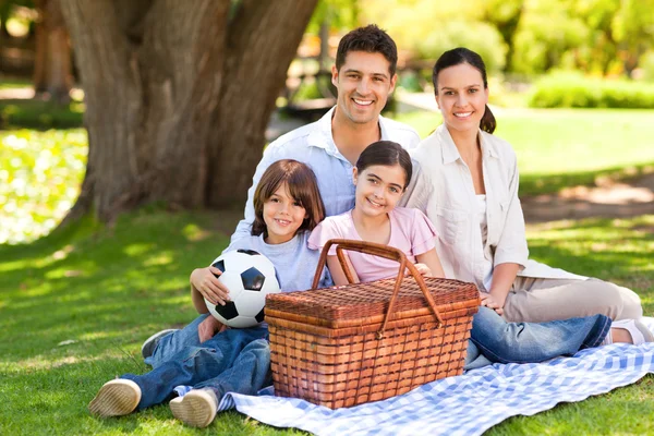 Lycklig familj picknick i parken — Stockfoto