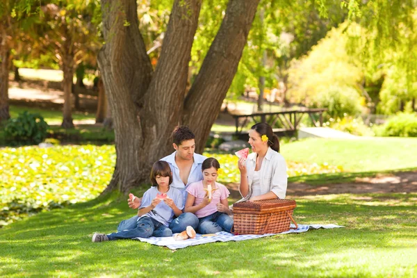 Söt familj picknick i parken — Stockfoto