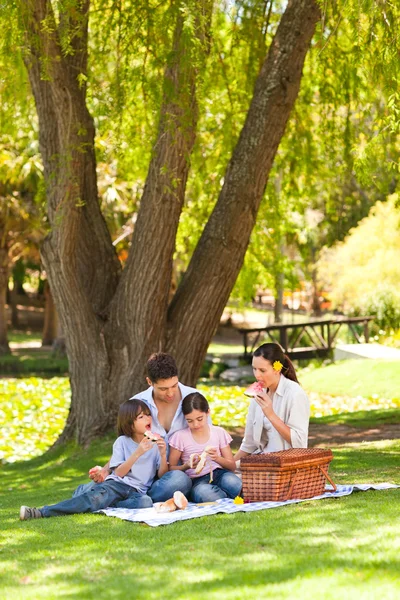 Lindo picnic familiar en el parque —  Fotos de Stock
