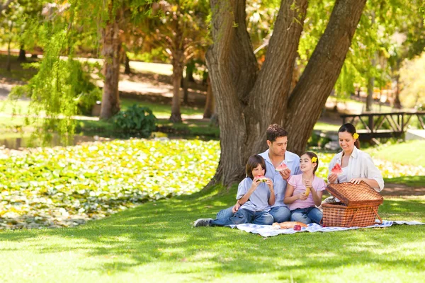 Söt familj picknick i parken — Stockfoto