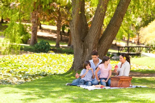可爱的家人在公园野餐 — 图库照片