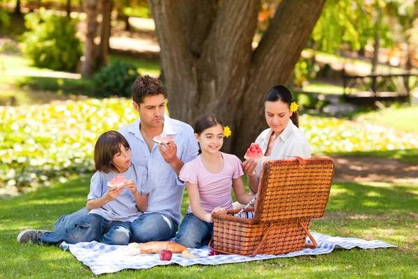 Aranyos családi piknik a parkban — Stock Fotó