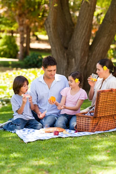 Adorável família piquenique no parque — Fotografia de Stock