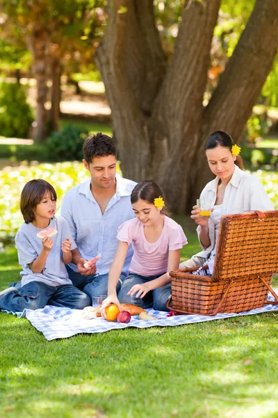 Precioso picnic familiar en el parque —  Fotos de Stock
