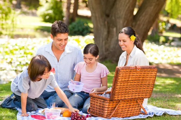 可爱的家庭在公园野餐 — 图库照片