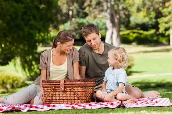 Joyful family picnicking in the park — Stock Photo, Image