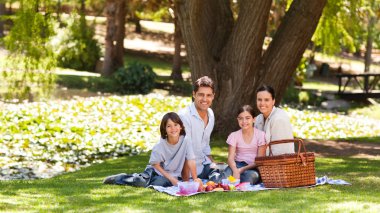 Joyful family picnicking in the park clipart