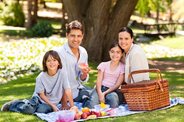 Radostné rodinný piknik v parku — Stock fotografie