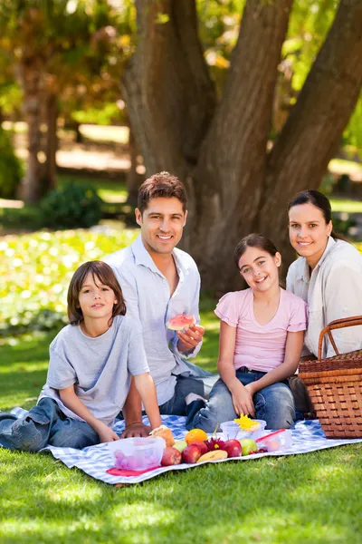 Glada familj picknick i parken — Stockfoto