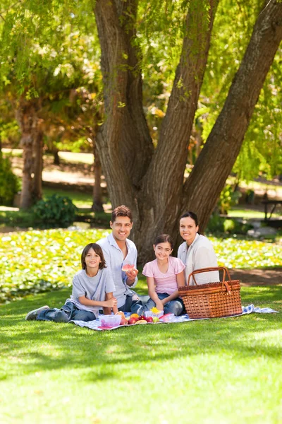 Piquenique familiar alegre no parque — Fotografia de Stock
