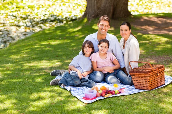 Radosny rodzinny piknik w parku — Zdjęcie stockowe