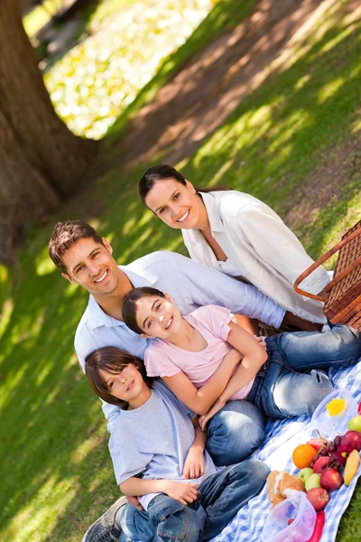 Radosny rodzinny piknik w parku — Zdjęcie stockowe