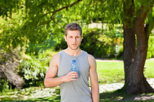 Sporty handsome man in the park — Stock Photo, Image