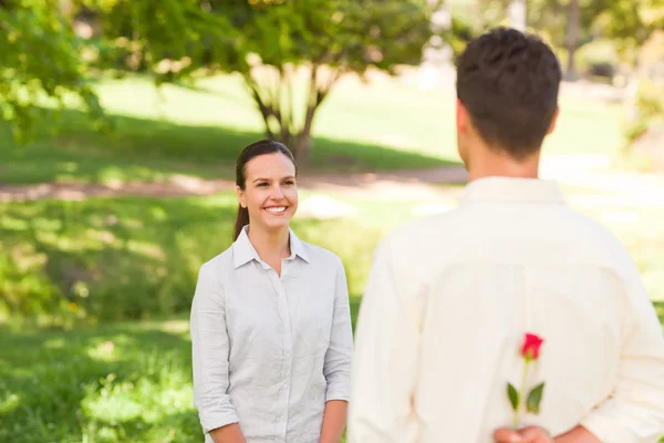 Мужчина предлагает розу своей девушке — стоковое фото
