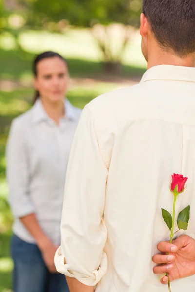 Homem oferecendo uma rosa para sua namorada — Fotografia de Stock