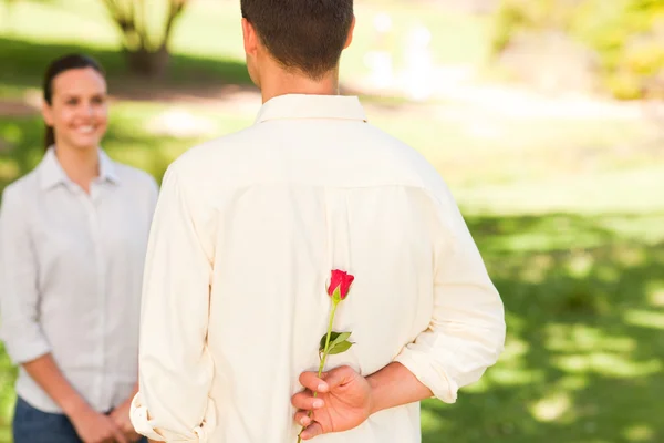 男子将一朵玫瑰提供给他的女朋友 — 图库照片
