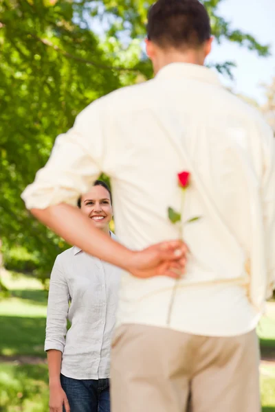 Lycklig man erbjuder en ros till sin flickvän — Stockfoto