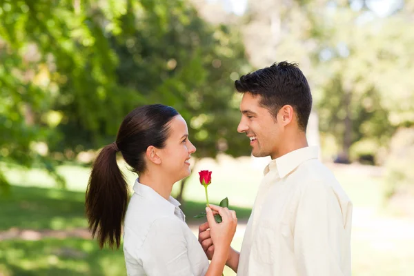 Mutlu bir adam kız arkadaşına bir gül sunan — Stok fotoğraf