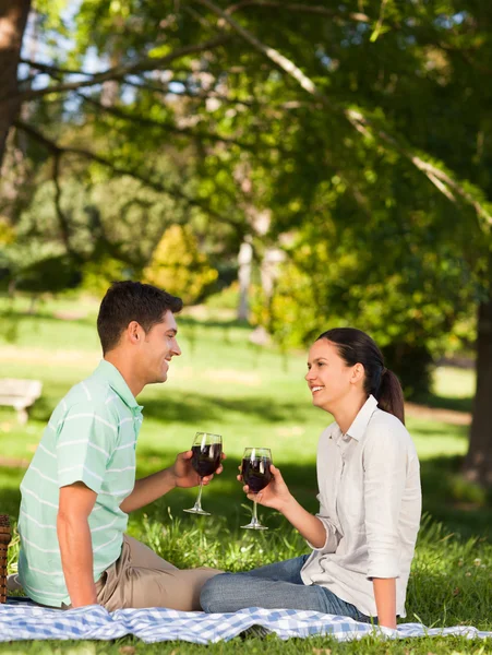 Junges Paar picknickt im Park — Stockfoto