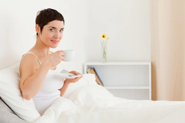 Cute woman drinking tea while looking at the camera — Stock Photo, Image