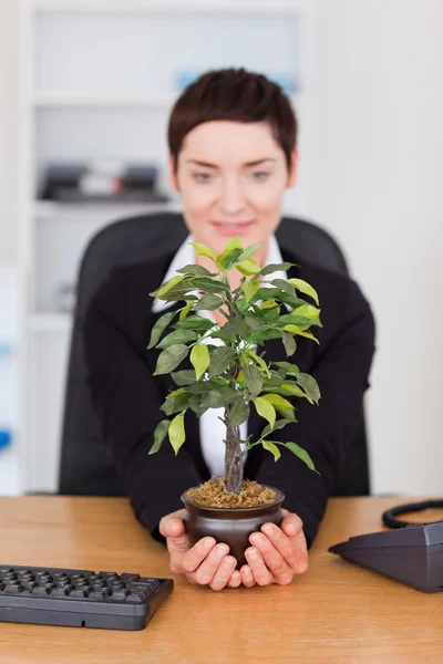 Retrato de una mujer de negocios mirando una planta — Foto de Stock