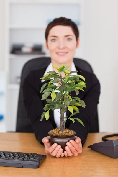 Retrato de una secretaria mirando una planta — Foto de Stock