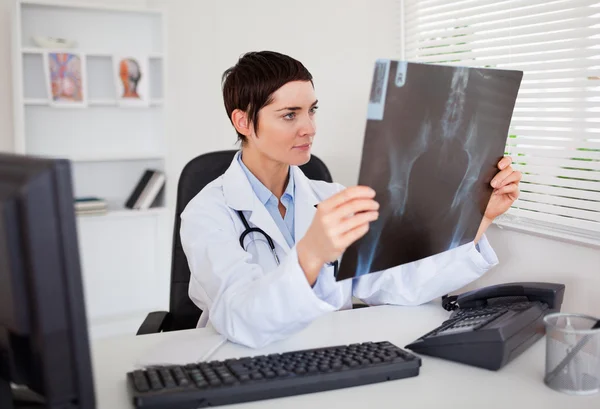Молодой доктор смотрит на рентген — стоковое фото