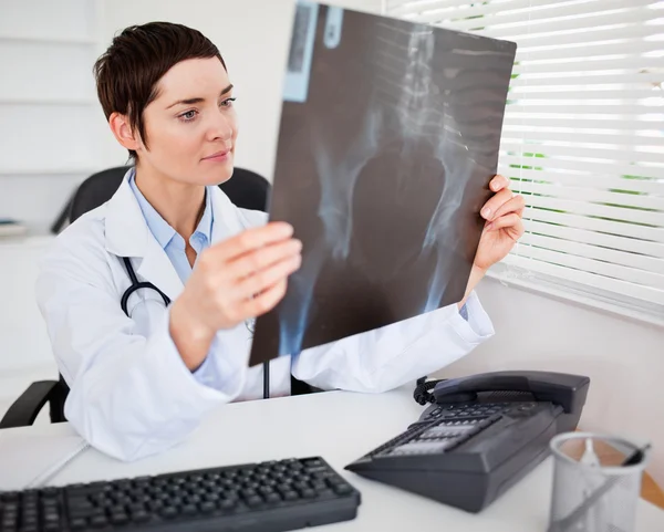 X 線を見て若い女性医師 — ストック写真