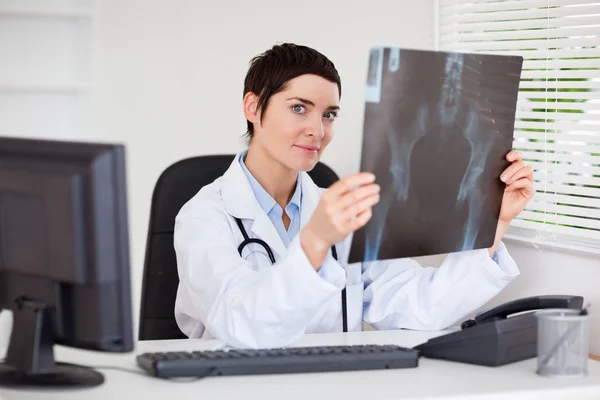 Doctora profesional sosteniendo un conjunto de rayos X —  Fotos de Stock