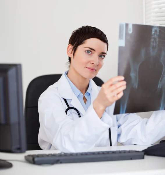Сосредоточенная женщина-врач держит набор рентгеновского снимка — стоковое фото