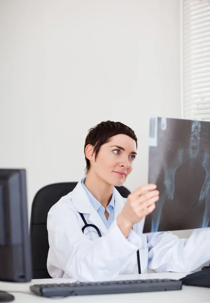 Сфокусированная женщина-врач смотрит на рентген — стоковое фото