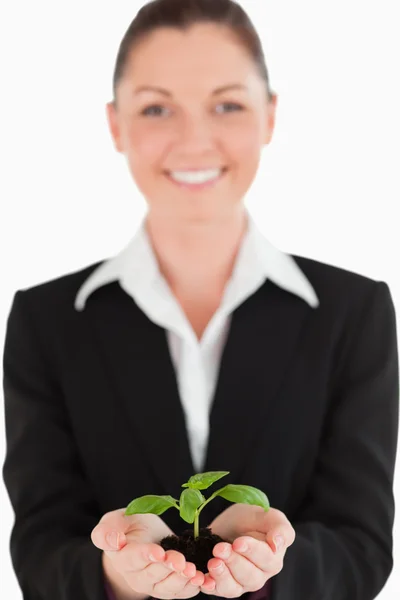 Charmig kvinna i kostym som håller en liten växt — Stockfoto