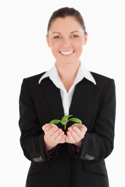 Mooie vrouw in pak houden een kleine plant — Stockfoto