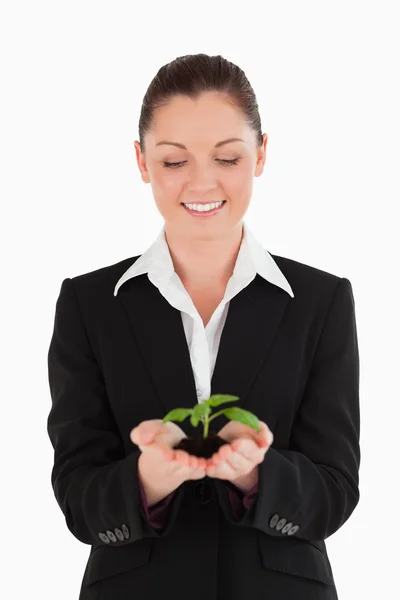Atraktivní žena v obleku drží malá rostlina — Stock fotografie