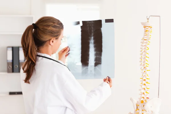 Médico lindo com um estetoscópio olhando para um raio-x — Fotografia de Stock
