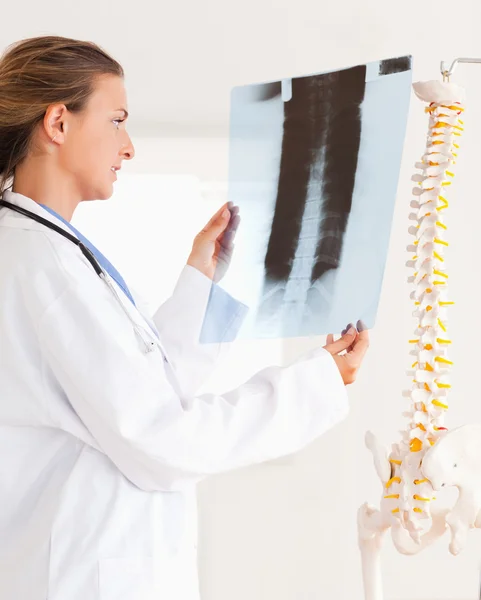 Bella bruna medico con uno stetoscopio guardando una radiografia — Foto Stock