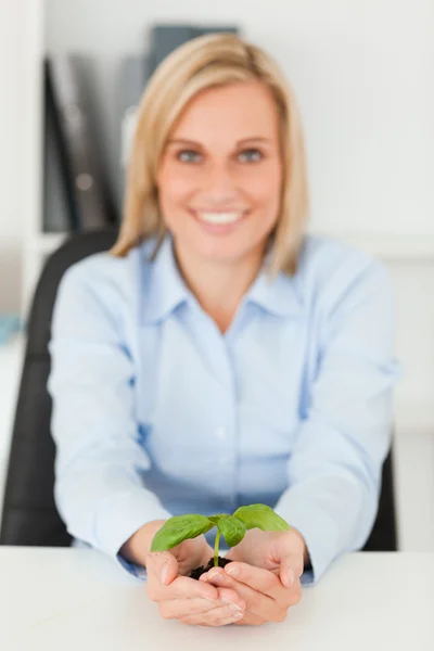 Sorrindo empresária segurando uma pequena planta verde olhando para — Fotografia de Stock