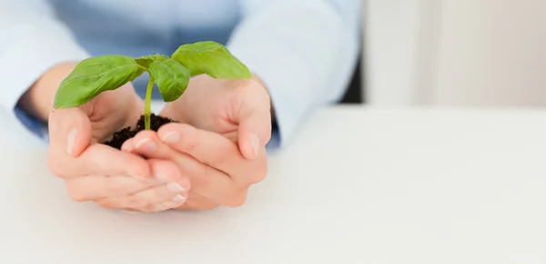 Woman holding a little plant — Stock Photo, Image