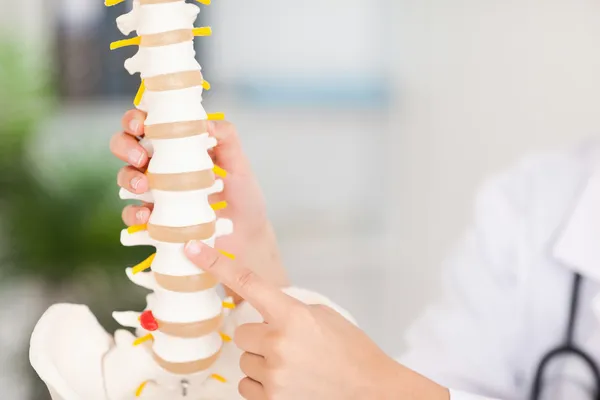 Finger pointing at bone in spine — Stock Photo, Image