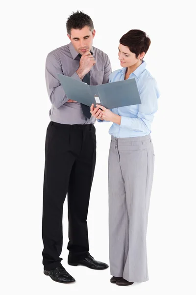 Office workers looking at a binder — Stock Photo, Image
