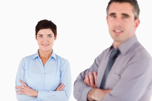 Isolated office workers posing — Stock Photo, Image